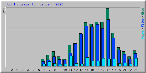Hourly usage for January 2026
